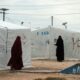 Le camp de Roj, dernier bastion kurde où vivent encore 2 200 proches de jihadistes