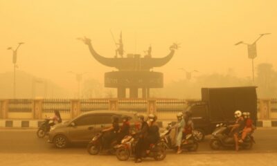 Incendies en Indonésie, un air toxique qui tue par milliers