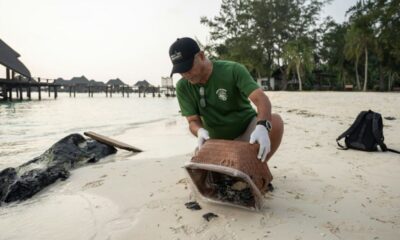 La tortue verte refait surface, portée par un demi-siècle de combat