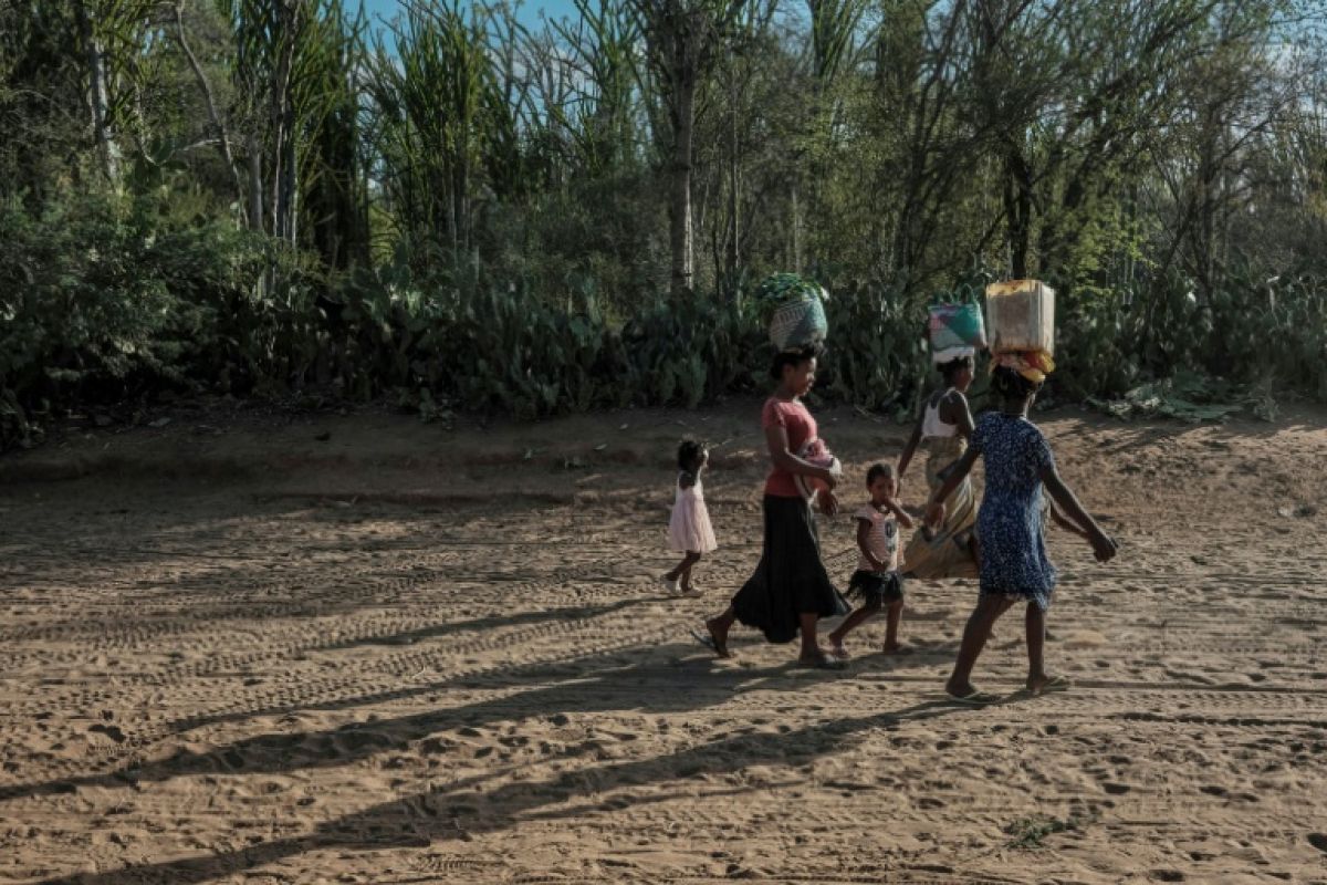 Madagascar redoute le pire, la faim n'attend pas El Niño