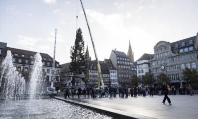 Le grand sapin de Strasbourg s'élève malgré la tension sociale
