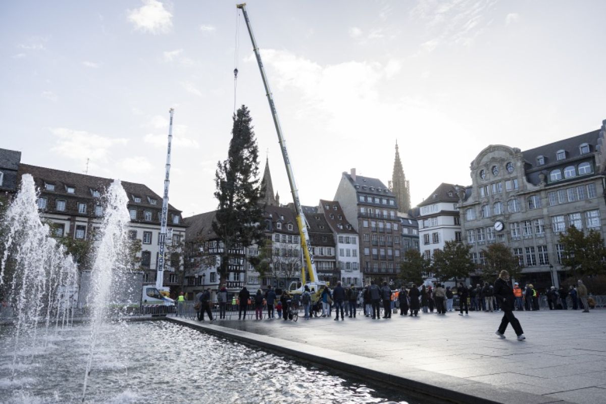 Le grand sapin de Strasbourg s'élève malgré la tension sociale