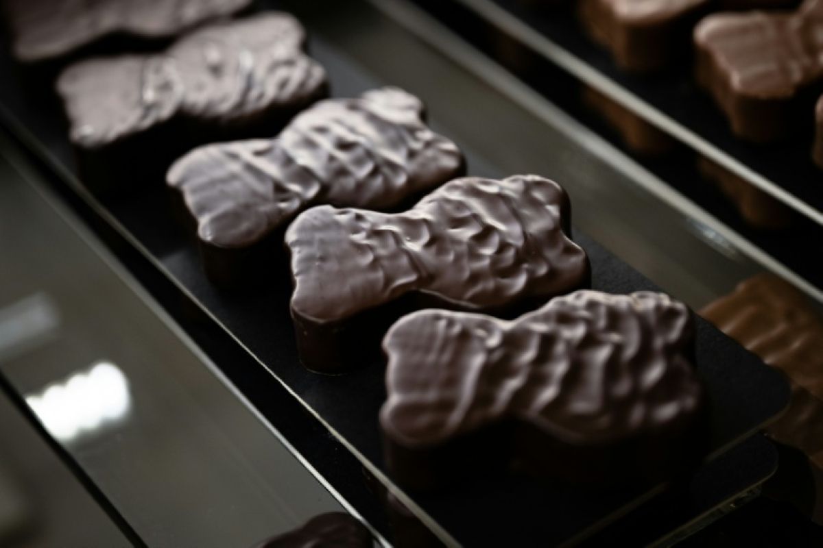 L'ourson guimauve-chocolat, nouvelle coqueluche des pâtisseries françaises