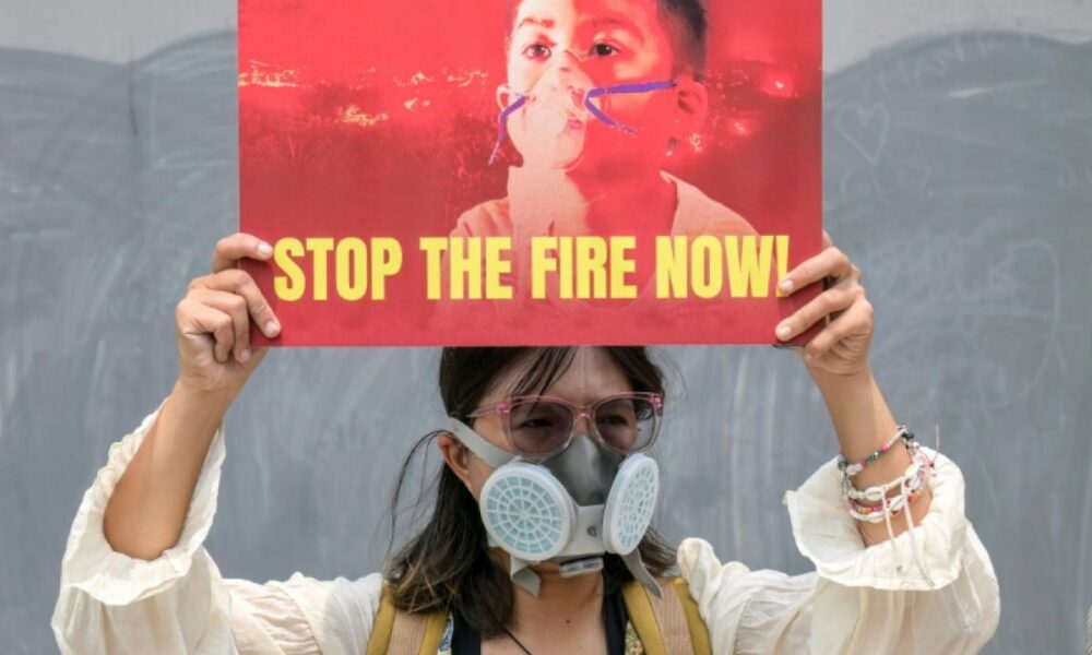Incendies en Indonésie, jusqu’où les entreprises sont-elles responsables ?