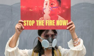 Incendies en Indonésie, jusqu’où les entreprises sont-elles responsables ?