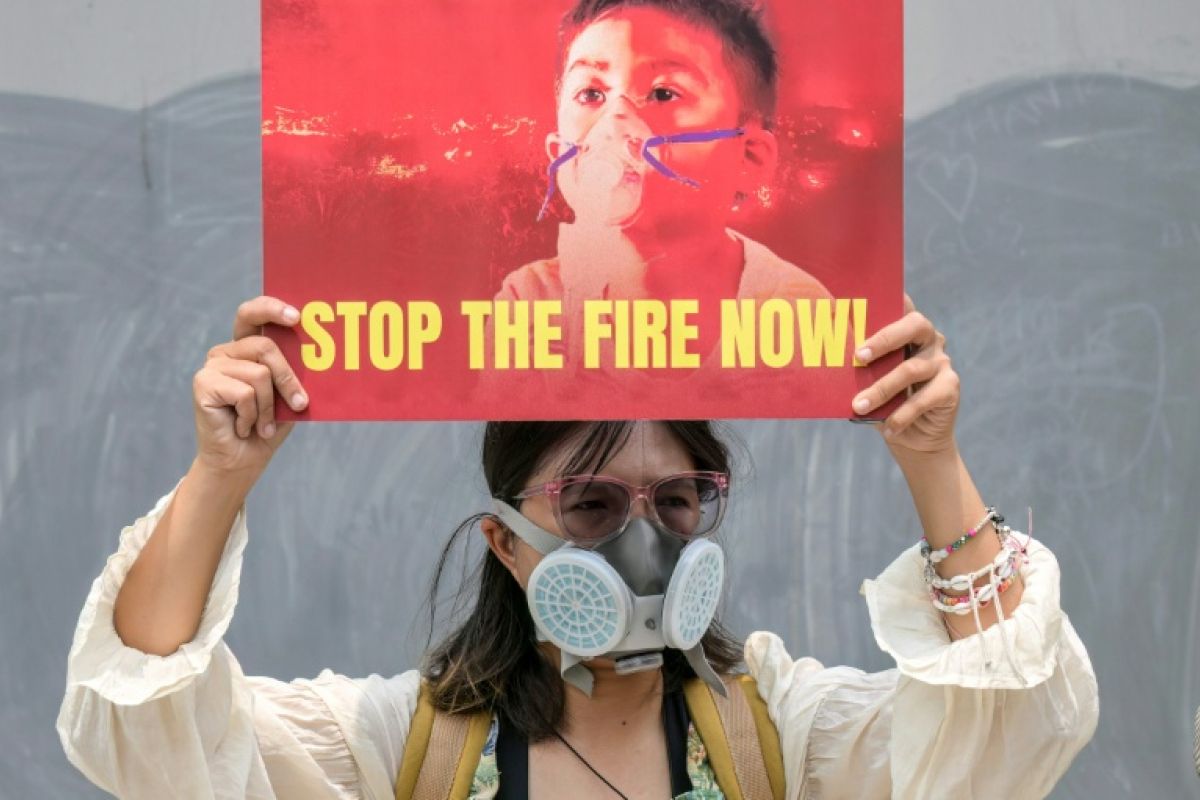 Incendies en Indonésie, jusqu’où les entreprises sont-elles responsables ?